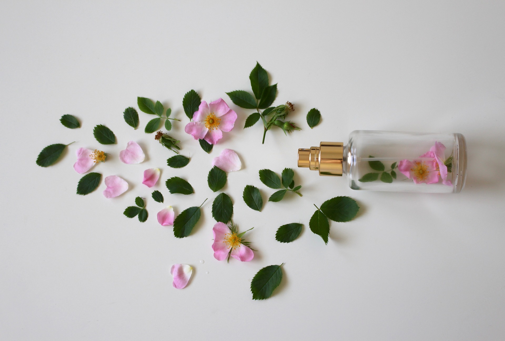 parfum fragrance in cosmetics